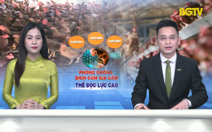 Thời sự THBG tối ng&agrave;y 26-03-2024