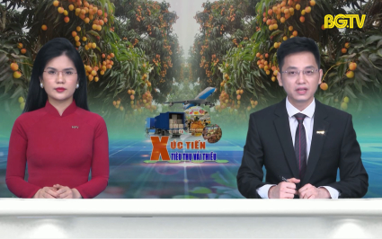 Thời sự THBG tối ng&agrave;y 27-06-2023