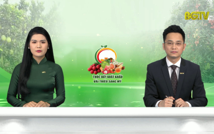 Thời sự THBG tối ng&agrave;y 29-03-2022