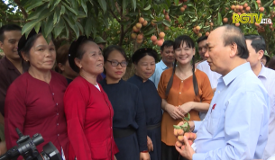 Thủ tướng Ch&iacute;nh phủ thăm v&ugrave;ng vải thiều Lục Ngạn