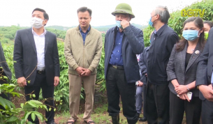 Th&uacute;c đẩy giải ph&aacute;p ti&ecirc;u thụ vải thiều