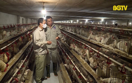 Thực hiện hiệu quả ch&iacute;nh s&aacute;ch hỗ trợ li&ecirc;n kết chuỗi 