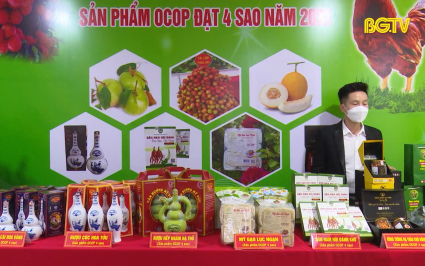 Thương hiệu OCOP dần khẳng định vị thế tr&ecirc;n thị trường
