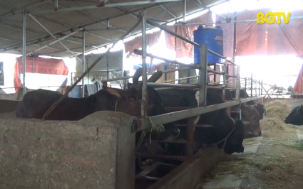 Tiềm ẩn nguy hiểm từ r&ograve; rỉ điện 