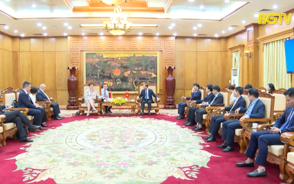 Tiếp x&atilde; giao Đại sứ Cộng h&ograve;a Li&ecirc;n bang Đức tại Việt Nam