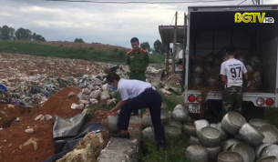 Ti&ecirc;u hủy 1,1 tấn gi&aacute; đỗ c&oacute; sử dụng chất cấm