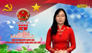Tiểu sử t&oacute;m tắt v&agrave; CT h&agrave;nh động của ứng vi&ecirc;n đại biểu Quốc hội kh&oacute;a XV: B&agrave; Đỗ Thị Việt H&agrave;