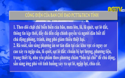 Tin b&atilde;o khẩn cấp cơn b&atilde;o số 2 v&agrave; c&ocirc;ng điện của Ban chỉ đạo PCTT&TKCN tỉnh