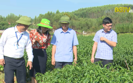 T&iacute;n hiệu t&iacute;ch cực từ chương tr&igrave;nh n&ocirc;ng th&ocirc;n mới