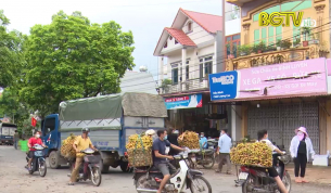 To&agrave;n tỉnh ti&ecirc;u thụ hơn 2000 tấn vải tươi