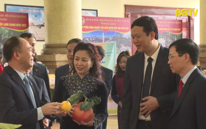 T&ocirc;n vinh sản phẩm n&ocirc;ng nghiệp ti&ecirc;u biểu