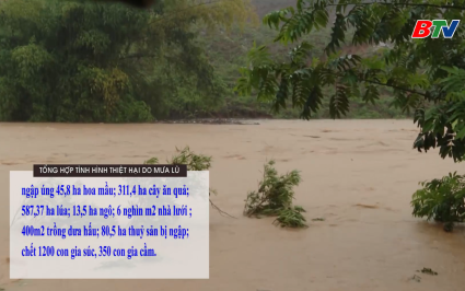 Tổng hợp thiệt hại do mưa lũ tr&ecirc;n địa b&agrave;n tỉnh Bắc Ninh