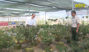 Tổng kết 5 năm thực hiện chương tr&igrave;nh L&agrave;ng L&uacute;a L&agrave;ng Hoa