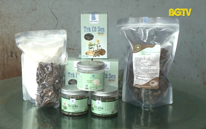 Tr&agrave; củ Sen &ndash; Hương vị đồng qu&ecirc;