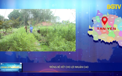 Trang TH địa phương ng&agrave;y 17-03-2025