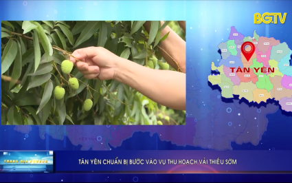 Trang TH địa phương ngày 19-05-2025