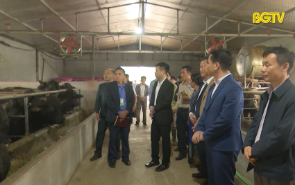 Trao đổi kinh nghiệm về ứng dụng KHCN sản xuất c&acirc;y ăn quả v&agrave; nu&ocirc;i trồng thuỷ sản