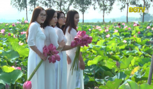 Tr&agrave;o lưu chụp ảnh m&ugrave;a sen nở