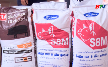 Trao tặng thức ăn chăn nu&ocirc;i lợn cho c&aacute;c hộ bị ảnh hưởng b&atilde;o lũ tại x&atilde; Hợp Thịnh