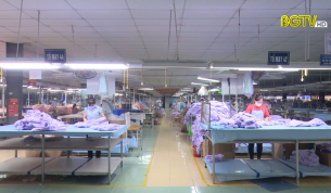 Triển khai ch&iacute;nh s&aacute;ch hỗ trợ người sử dụng lao động