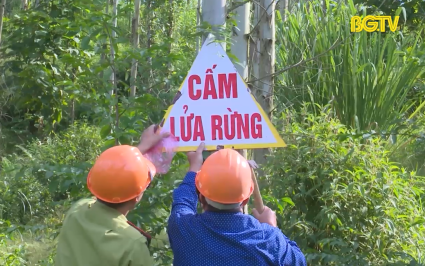Triển khai ph&ograve;ng ch&aacute;y, chữa ch&aacute;y rừng m&ugrave;a kh&ocirc; 2024-2025  