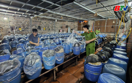 Triệt ph&aacute; 3 cơ sở sản xuất 1.000 tấn gi&aacute; đỗ bằng chất cấm