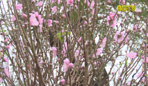 Truyền h&igrave;nh c&ocirc;ng đo&agrave;n: Tết ở gia đ&igrave;nh c&ocirc;ng nh&acirc;n lao động