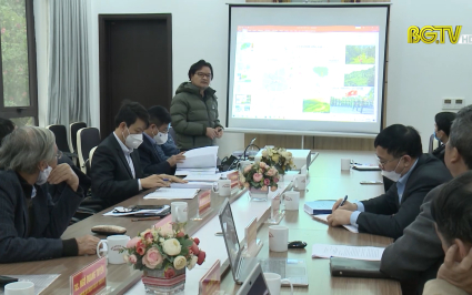 Tư vấn, phản biện quy hoạch đ&ocirc; thị Cẩm L&yacute; v&agrave; Lan Mẫu, Lục Nam