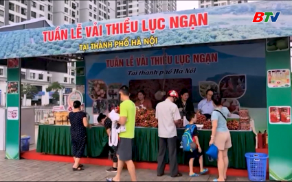 Tuần lễ vải thiều Lục Ngạn tại H&agrave; Nội