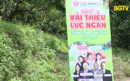 Tuần lễ vải thiều Lục Ngạn - Tự h&agrave;o n&ocirc;ng sản Việt