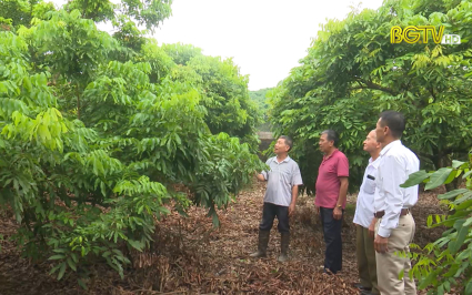 Tuổi cao gương s&aacute;ng l&agrave;m kinh tế giỏi