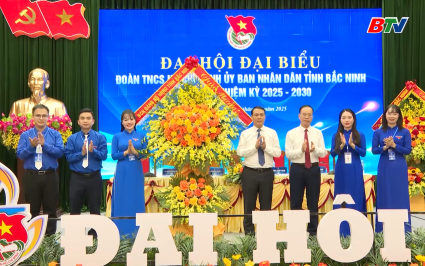Tuổi trẻ UBND tỉnh ti&ecirc;n phong trong chuyển đổi số 
