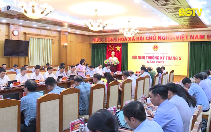 Hội nghị thường kỳ th&aacute;ng 5/2023 của UBND tỉnh