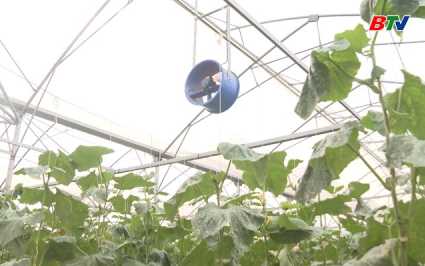 Ứng dụng c&ocirc;ng nghệ th&ocirc;ng tin, chuyển đổi số v&agrave;o sản xuất n&ocirc;ng nghiệp