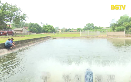 Đẩy mạnh ứng dụng c&ocirc;ng nghệ v&agrave;o chăn nu&ocirc;i thủy sản th&acirc;m canh