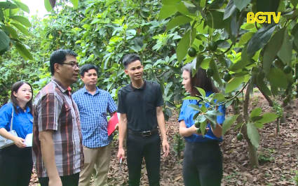 Ứng dụng khoa học c&ocirc;ng nghệ trong ph&aacute;t triển kinh tế ở miền n&uacute;i