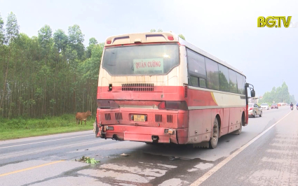 Va chạm giao th&ocirc;ng giữa 2 xe &ocirc; t&ocirc; tr&ecirc;n đường tỉnh 293