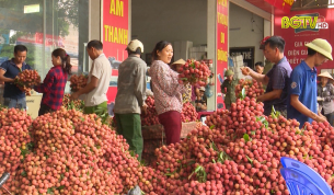 Vải thiều tiếp tục tăng gi&aacute; trong những ng&agrave;y gần đ&acirc;y