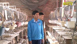 Việt Y&ecirc;n: Điểm s&aacute;ng trong ph&aacute;t triển m&ocirc; h&igrave;nh kinh tế thanh ni&ecirc;n