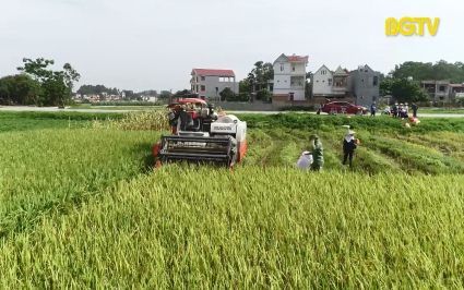 Việt Y&ecirc;n n&acirc;ng cao hiệu quả, gi&aacute; trị sản xuất n&ocirc;ng nghiệp