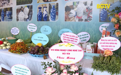 Việt Y&ecirc;n: X&acirc;y dựng th&ecirc;m nhiều sản phẩm Ocop 