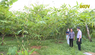 Vốn vay giải quyết việc l&agrave;m cho người lao động ở n&ocirc;ng th&ocirc;n