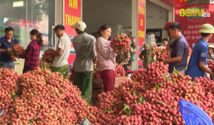 Vụ Vải thiều 2020 thắng lợi