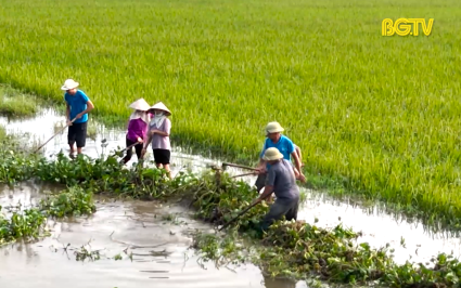 X&acirc;y dựng Đảng: Đảng l&atilde;nh đạo khắc phục hậu quả do b&atilde;o lũ