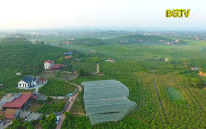 X&acirc;y dựng Đảng: Đưa Nghị quyết của Đảng v&agrave;o cuộc sống