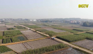 X&acirc;y dựng Đảng: Người đứng đầu với vai tr&ograve; n&ecirc;u gương