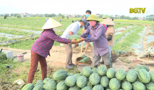 X&acirc;y dựng Đảng: Vai tr&ograve; tổ chức Đảng trong ph&ograve;ng chống dịch đảm bảo sản xuất
