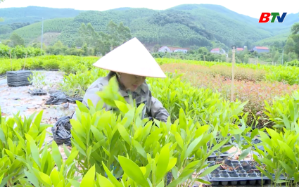 X&acirc;y dựng NTM ở x&atilde; miền n&uacute;i Trường Sơn