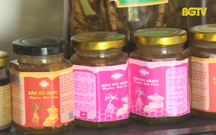 X&acirc;y dựng thương hiệu s&acirc;m nam n&uacute;i D&agrave;nh 