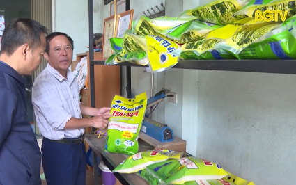 X&acirc;y dựng tổ hợp t&aacute;c tạo tiền đề ph&aacute;t triển hợp t&aacute;c x&atilde; 